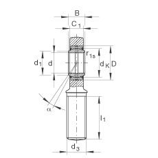 杆端轴承 GAR50-DO-2RS, 根据 DIN ISO 12 240-4 标准，带右旋外螺纹，需维护，两侧唇密封