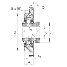 轴承座单元 RME45, 带四个螺栓孔的法兰的轴承座单元，定心凸出物，铸铁，偏心锁圈，R 型密封